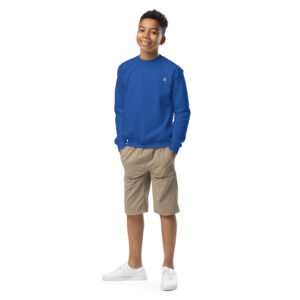 youth-crew-neck-sweatshirt-royal-front-684fe85605ae4.jpg