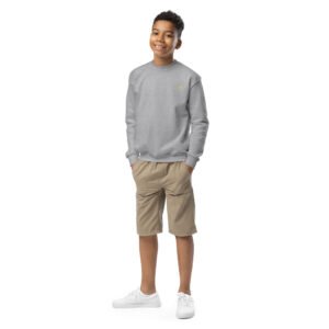 youth-crew-neck-sweatshirt-sport-grey-front-684fe871252ef.jpg