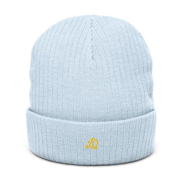 ribbed-knit-beanie-light-blue-front-693be80d8f71f.jpg Silenzia