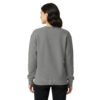 unisex-garment-dyed-sweatshirt-grey-back-693a5cfbd8ca7.jpg Orchidea