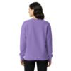 unisex-garment-dyed-sweatshirt-violet-back-693a5cfbda67a.jpg Orchidea
