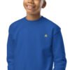 youth-crew-neck-sweatshirt-royal-zoomed-in-693a74a99ba3c.jpg Fortezza