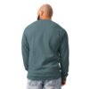 lane-seven-ls16004-i-urban-crewneck-sweatshirt-pebble-blue-back-698ba3227ea84.jpg Precisione