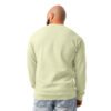 lane-seven-ls16004-i-urban-crewneck-sweatshirt-pistachio-back-698ba322800b5.jpg Precisione