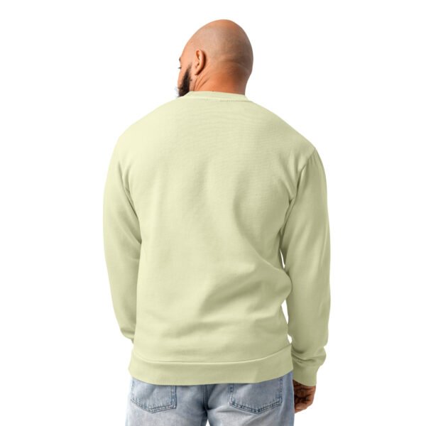 lane-seven-ls16004-i-urban-crewneck-sweatshirt-pistachio-back-698ba322800b5.jpg Precisione