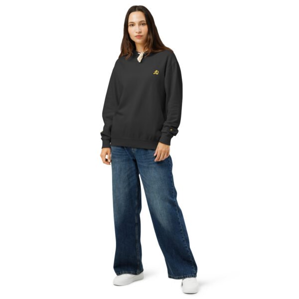 unisex-garment-dyed-lightweight-fleece-hooded-sweatshirt-i-comfort-colors-1467-black-front-698bc0e2dc9d1.jpg Sviluppo