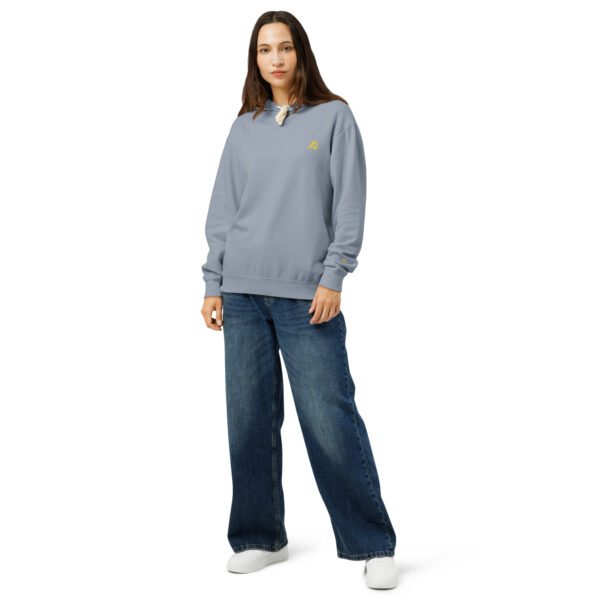 unisex-garment-dyed-lightweight-fleece-hooded-sweatshirt-i-comfort-colors-1467-blue-jean-front-698bc0e2db245.jpg Sviluppo