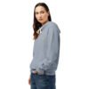 unisex-garment-dyed-lightweight-fleece-hooded-sweatshirt-i-comfort-colors-1467-blue-jean-left-698bc0e2e1e48.jpg Sviluppo