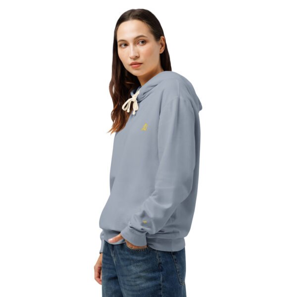 unisex-garment-dyed-lightweight-fleece-hooded-sweatshirt-i-comfort-colors-1467-blue-jean-left-698bc0e2e1e48.jpg Sviluppo