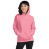 unisex-heavy-blend-hoodie-azalea-front-698bc47635399.jpg Icona