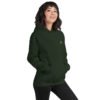 unisex-heavy-blend-hoodie-forest-green-right-front-698bc4758e654.jpg Icona