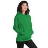 unisex-heavy-blend-hoodie-irish-green-right-front-698bc475ec504.jpg Icona