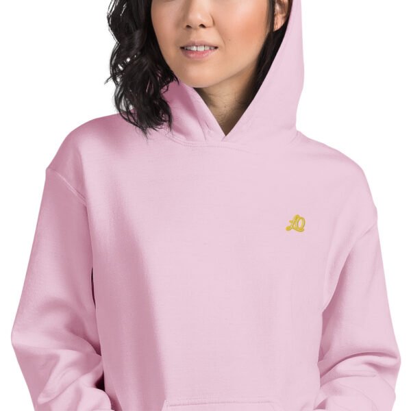 unisex-heavy-blend-hoodie-light-pink-zoomed-in-698bc476b6713.jpg Icona