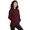 unisex-heavy-blend-hoodie-maroon-right-front-698bc4758061f.jpg Icona