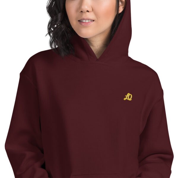 unisex-heavy-blend-hoodie-maroon-zoomed-in-698bc4757ade9.jpg Icona
