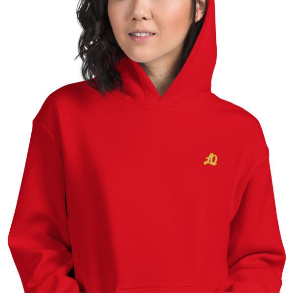 unisex-heavy-blend-hoodie-red-zoomed-in-698bc47599a4c.jpg Icona