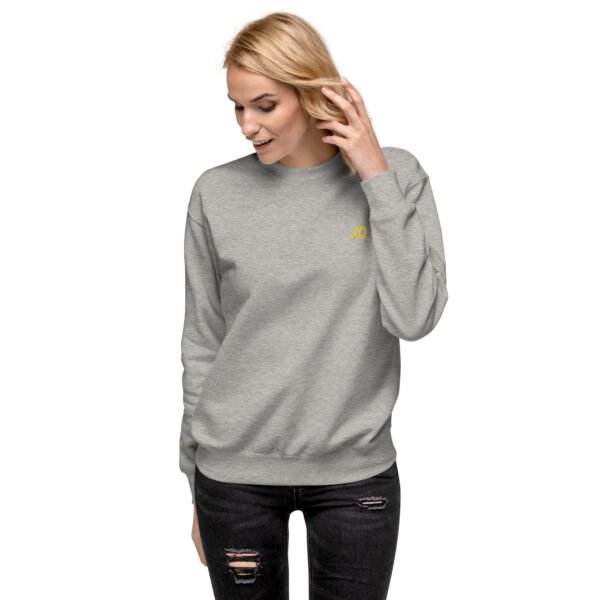 unisex-premium-sweatshirt-carbon-grey-front-698bc910ce60a-1.jpg Vortice