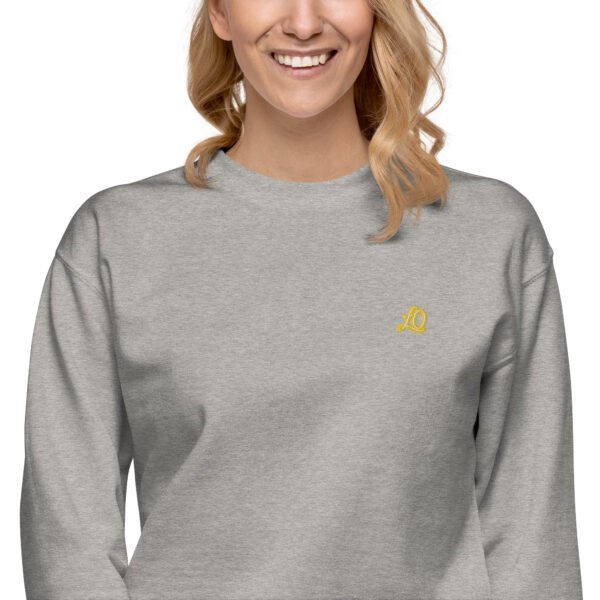 unisex-premium-sweatshirt-carbon-grey-zoomed-in-2-698bc910a96de-1.jpg Vortice