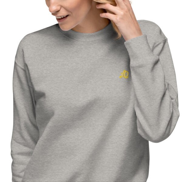 unisex-premium-sweatshirt-carbon-grey-zoomed-in-698bc910a2323-1.jpg Vortice