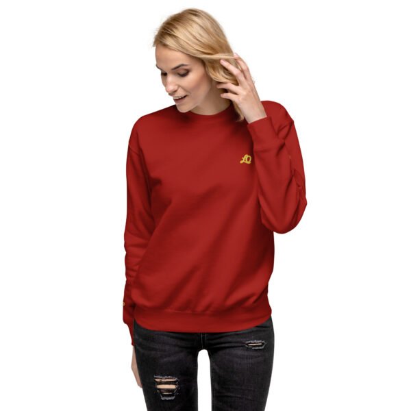unisex-premium-sweatshirt-cardinal-front-698bc9103f9f4-1.jpg Vortice