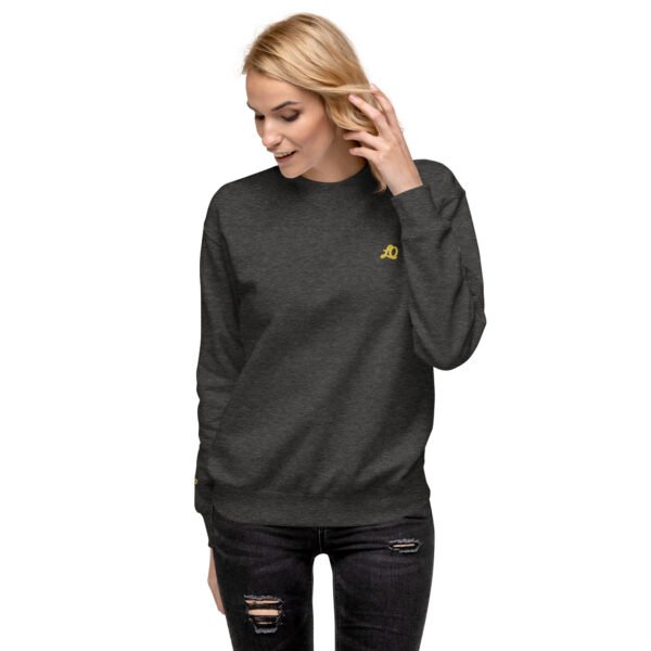 unisex-premium-sweatshirt-charcoal-heather-front-698bc910508f4-1.jpg Vortice