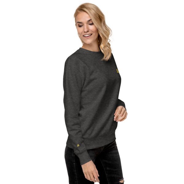unisex-premium-sweatshirt-charcoal-heather-right-front-698bc9104e847-1.jpg Vortice