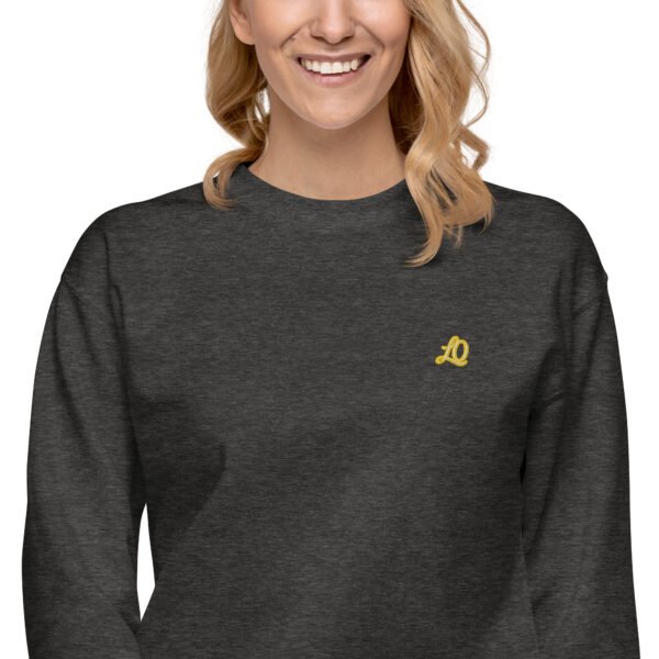 unisex-premium-sweatshirt-charcoal-heather-zoomed-in-2-698bc9104451d-1.jpg Vortice