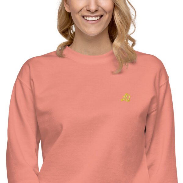 unisex-premium-sweatshirt-dusty-rose-zoomed-in-2-698bc9107bcda-1.jpg Vortice