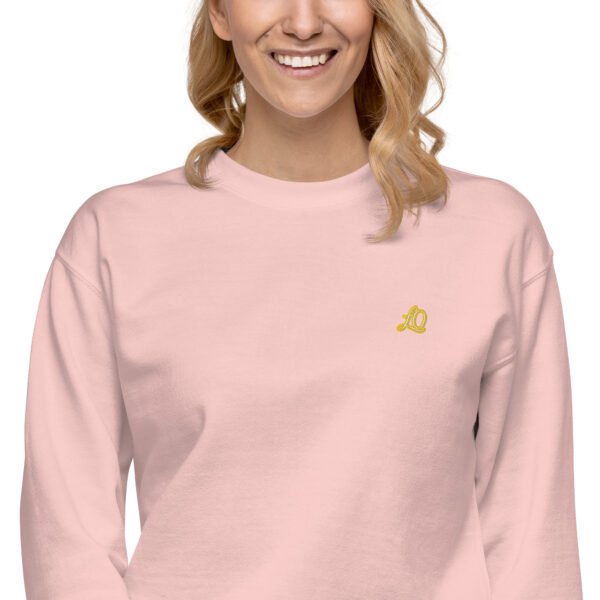 unisex-premium-sweatshirt-light-pink-zoomed-in-2-698bc9111e3ad-1.jpg Vortice