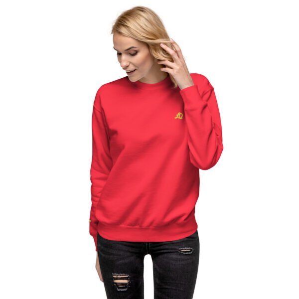 unisex-premium-sweatshirt-team-red-front-698bc91055cfd-1.jpg Vortice
