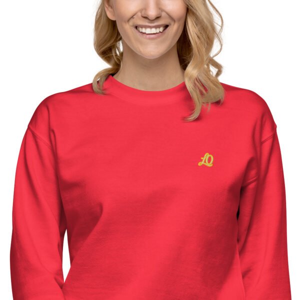unisex-premium-sweatshirt-team-red-zoomed-in-2-698bc91070cf1-1.jpg Vortice