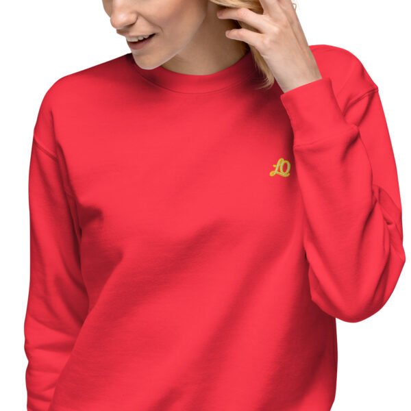 unisex-premium-sweatshirt-team-red-zoomed-in-698bc9106c270-1.jpg Vortice